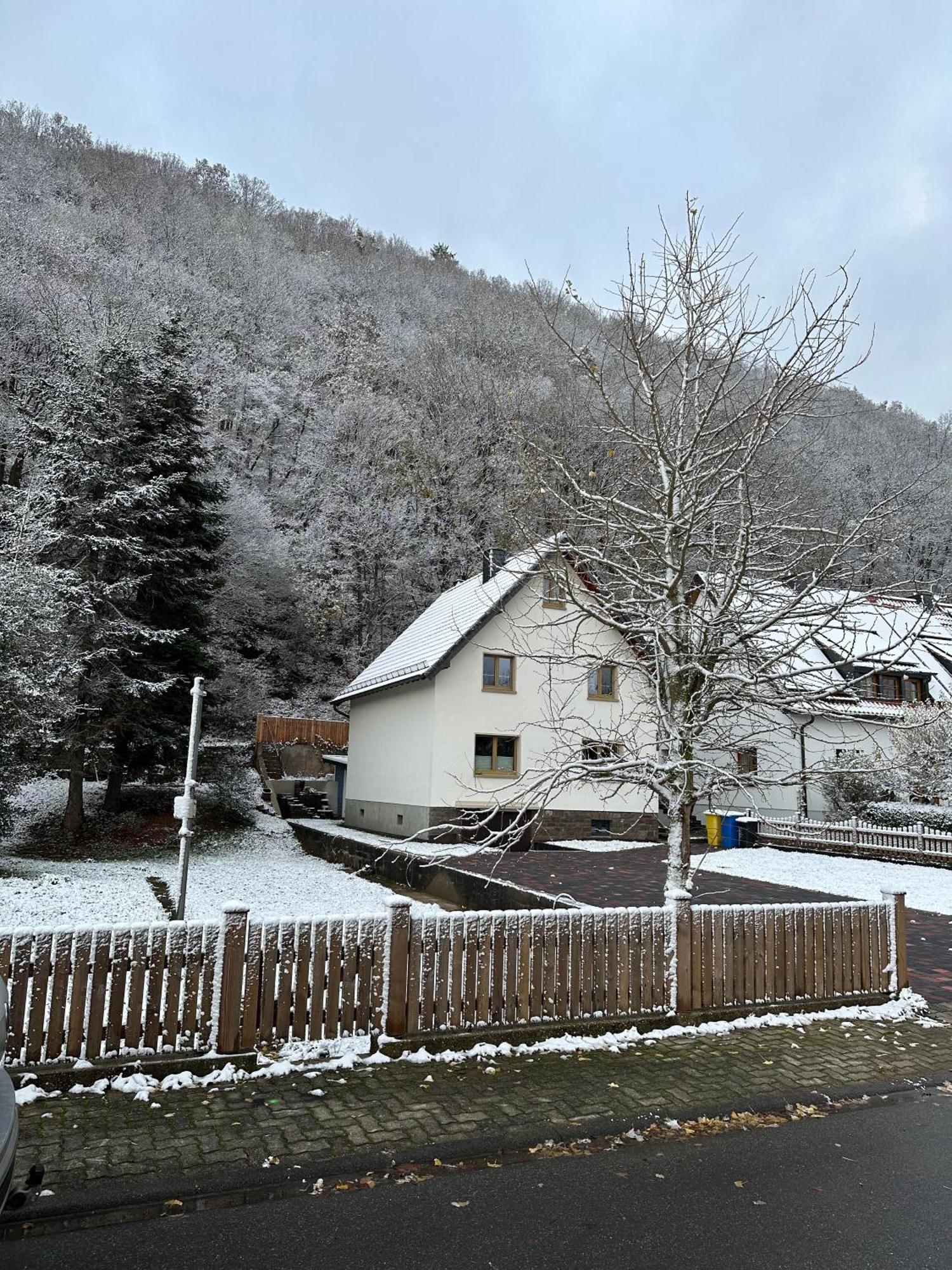 Ferienhaus Ginkgo Biloba Malsbenden Exterior foto