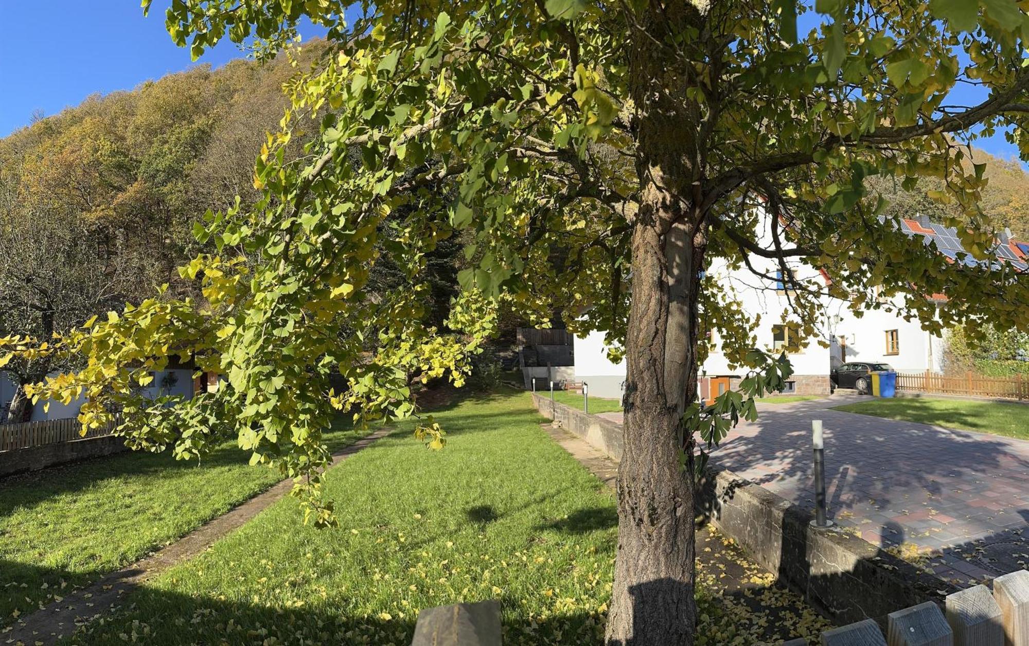 Ferienhaus Ginkgo Biloba Malsbenden Exterior foto