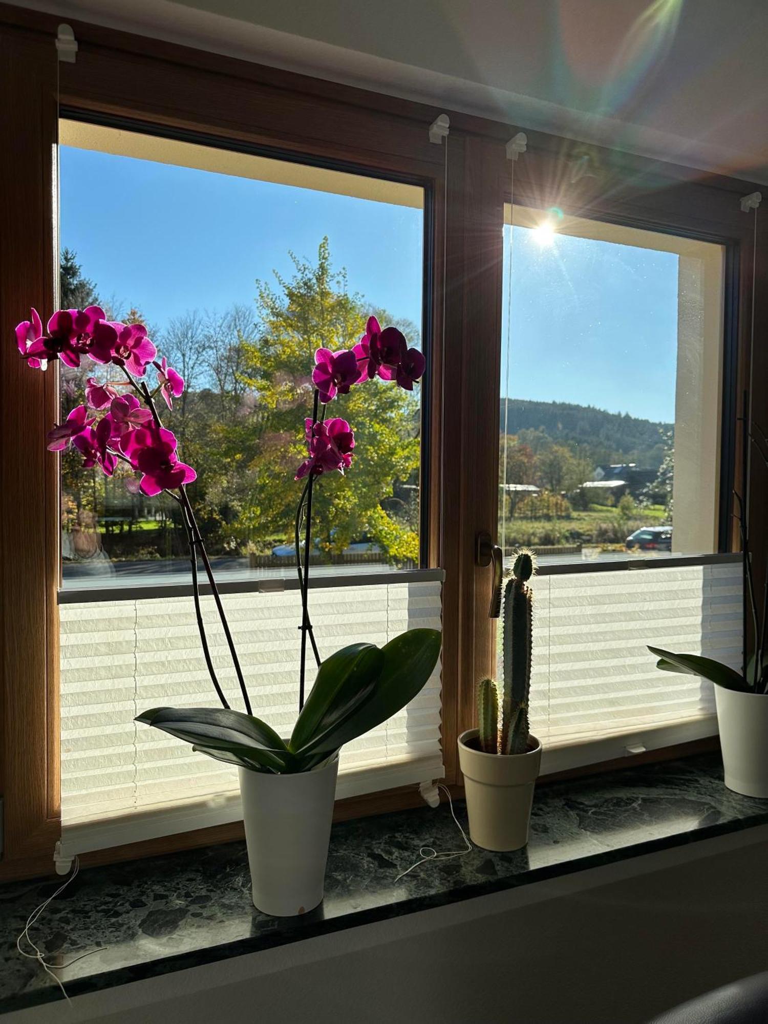 Ferienhaus Ginkgo Biloba Malsbenden Exterior foto