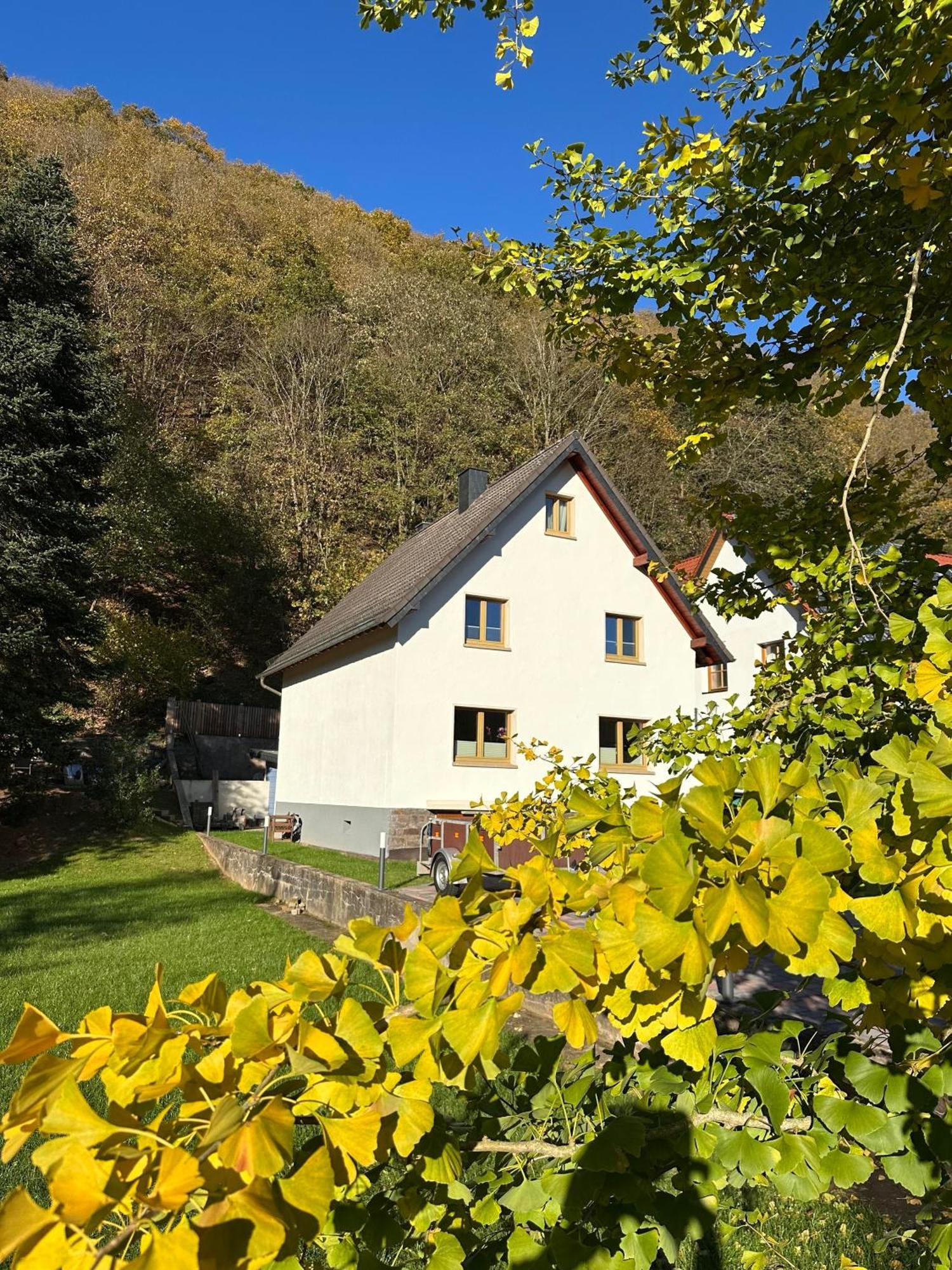 Ferienhaus Ginkgo Biloba Malsbenden Exterior foto